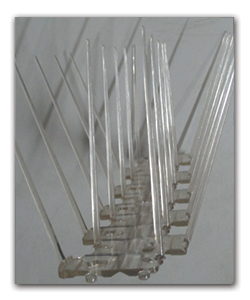Bird Spikes